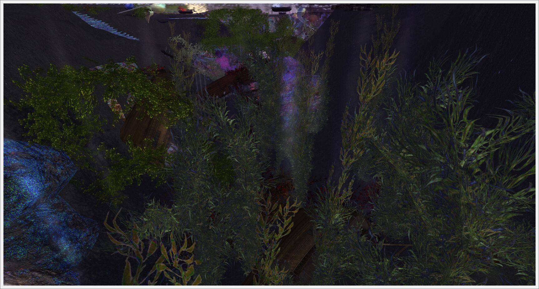 The Cerulean Bombora -017